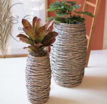 Tall Oval Rattan Planters, 2 sizes (Local Pick Up Only) Online Sale