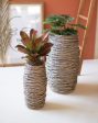 Tall Oval Rattan Planters, 2 sizes (Local Pick Up Only) Online Sale