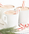 Peppermint Hot Chocolate Online now