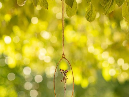 Rosy Rings Periwinkle Oval Pressed Floral Suncatcher on Sale