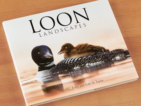 Loon Landscapes  by David Evers and Kate Taylor Cheap