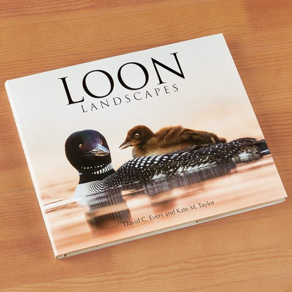 Loon Landscapes  by David Evers and Kate Taylor Cheap