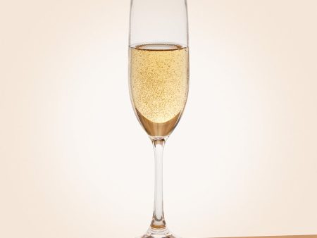 Caspari Acrylic Champagne Flute Discount