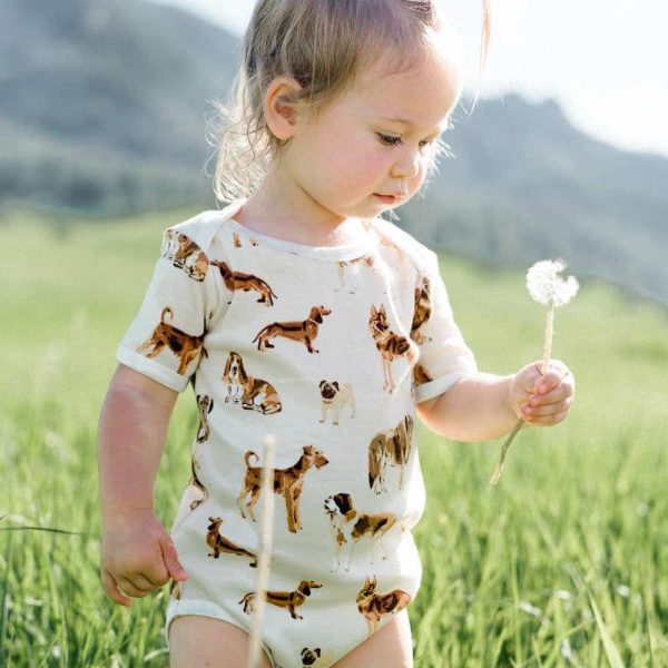 3-6 Month Bamboo Short Sleeve Onsie Supply