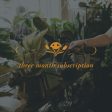 3 Month Plant Subscription Cheap