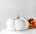 7  Ivory Velvet Pumpkin Online