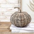 11  Fall Willow Pumpkin For Discount