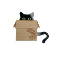 Last Chance! PsPsPsPecial Delivery - Cat in a Box Brooch on Sale