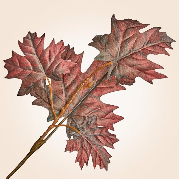 Autumnal Maple Leaf Stems, 11.5  Discount