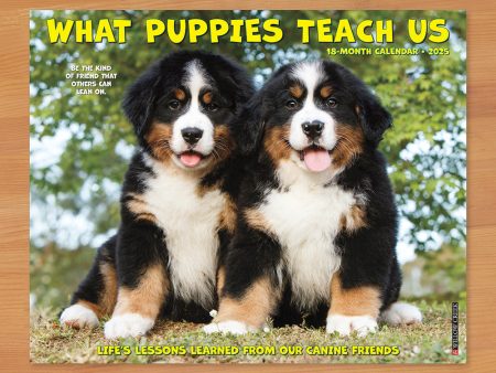 2025 Wall Calendar, What Puppies Teach Us Online now