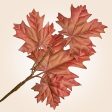 Autumnal Maple Leaf Stems, 11.5  Discount