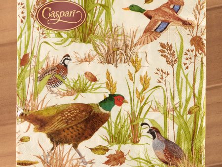 Caspari Paper Luncheon Napkins, Birds Of A Feather For Sale