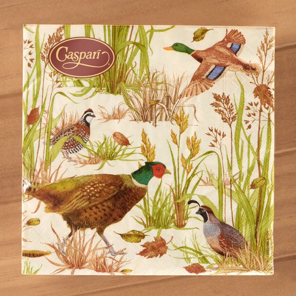 Caspari Paper Luncheon Napkins, Birds Of A Feather For Sale