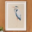 Blue Heron Watercolor Prints Cheap