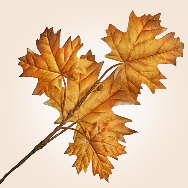 Autumnal Maple Leaf Stems, 11.5  Discount