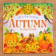 Autumn in the Forest  Lift-a-Flap Pop-Up Children s Board Book by Rusty Finch Online Hot Sale