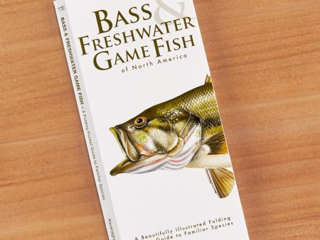 Bass & Fresh Water Game Fish of North America Folding Pocket Guide For Discount