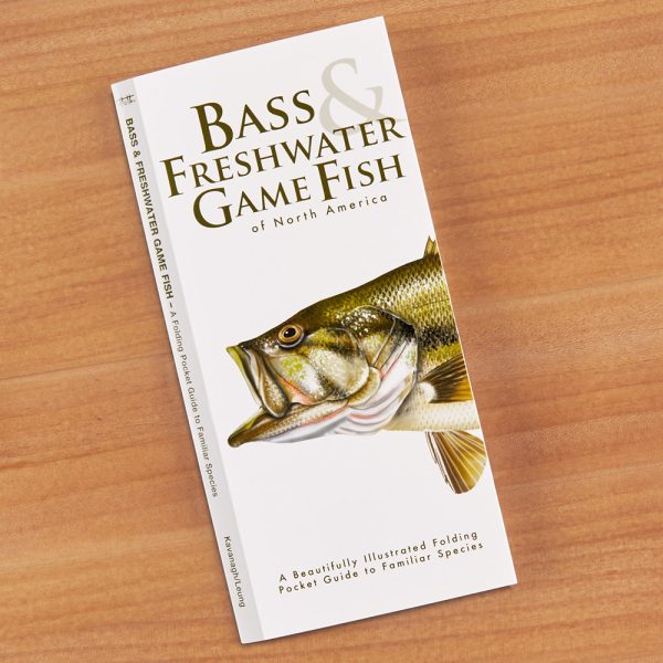 Bass & Fresh Water Game Fish of North America Folding Pocket Guide For Discount