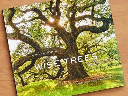 Wise Trees  by Diane Cook and Len Jenshel Online now