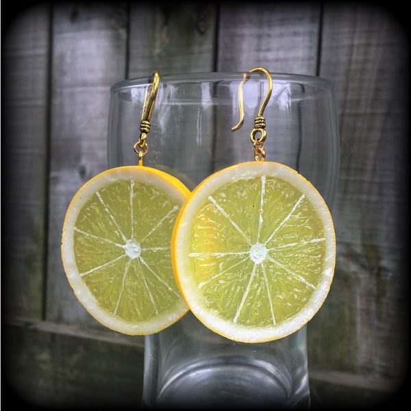 Lemon earrings-Fruit slice earrings For Discount