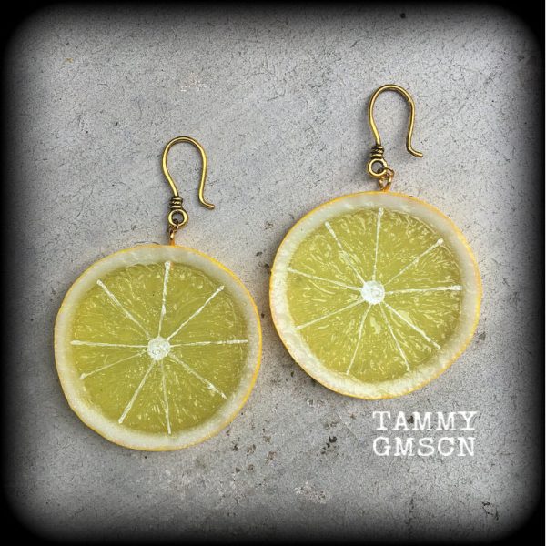 Lemon earrings-Fruit slice earrings For Discount